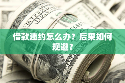 武汉借款违约怎么办?后果如何规避? 武汉借款违约怎么办?后果如何规避?