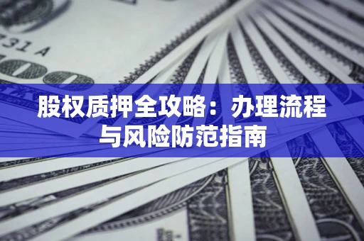 武汉股权质押全攻略:办理流程与风险防范指南 武汉股权质押全攻略:办理流程与风险防范指南